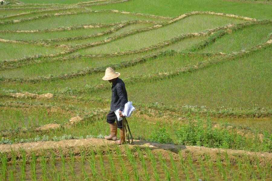 Perhatikan! Ini Tiga Program Darurat Covid-19 Untuk Desa